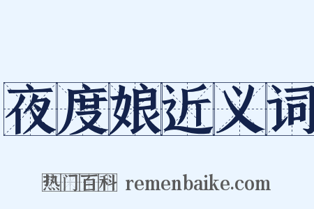 夜度娘近义词是什么意思的图片